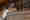 be1_0325_steuern
