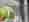 be1_0924_naturalbezüge_1_stefan gantenbein