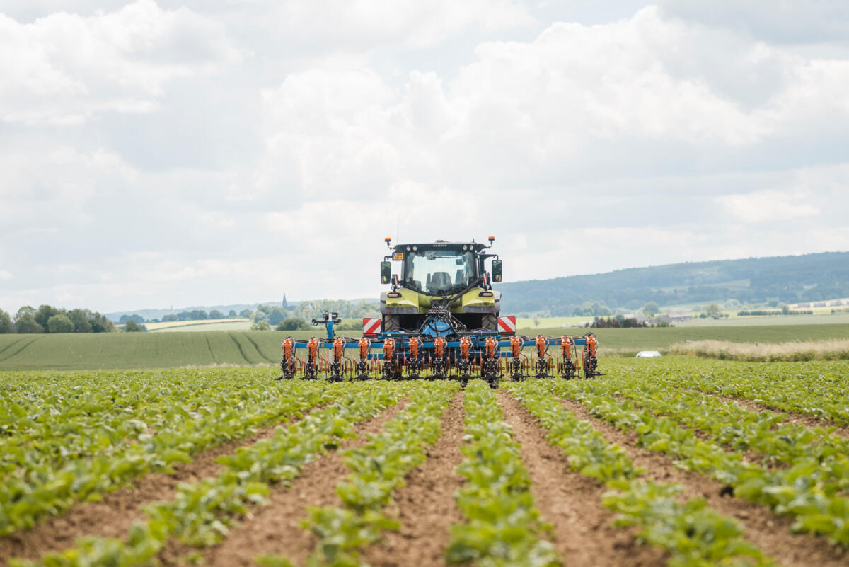 En combinant sarclage et pulvérisation en bandes, il est possible de réduire la quantité d’herbicides utilisés.