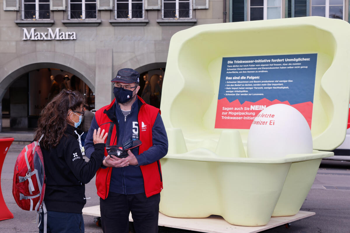 La production d’œufs suisses en danger 