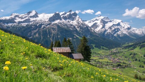 bernese-oberland-5027861_1920