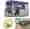 Bild fr