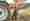 Bild Frau_istock_200