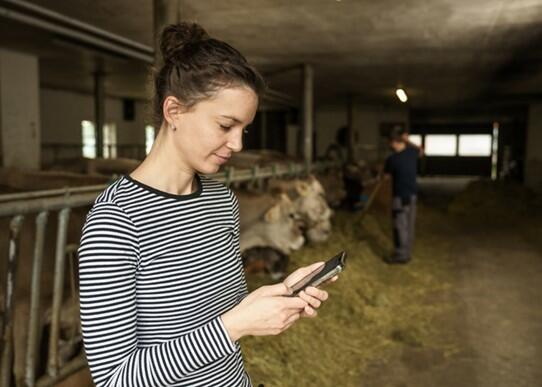 Das Smartphone trägt man auch bei der Arbeit meist bei sich. So kann man sich schnell einmal einloggen, um die Medgate-App zu nutzen.
