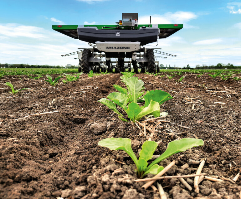 Bild_08_Suedzucker_amazone_Farmdroid_Zuckerruebe_d1_210930_GO