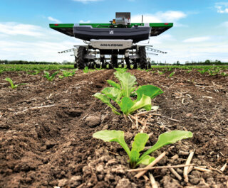 Bild_08_Suedzucker_amazone_Farmdroid_Zuckerruebe_d1_210930_GO
