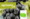Bild_Advertorial_Wechsel_d