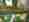 alt_text