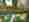 alt_text