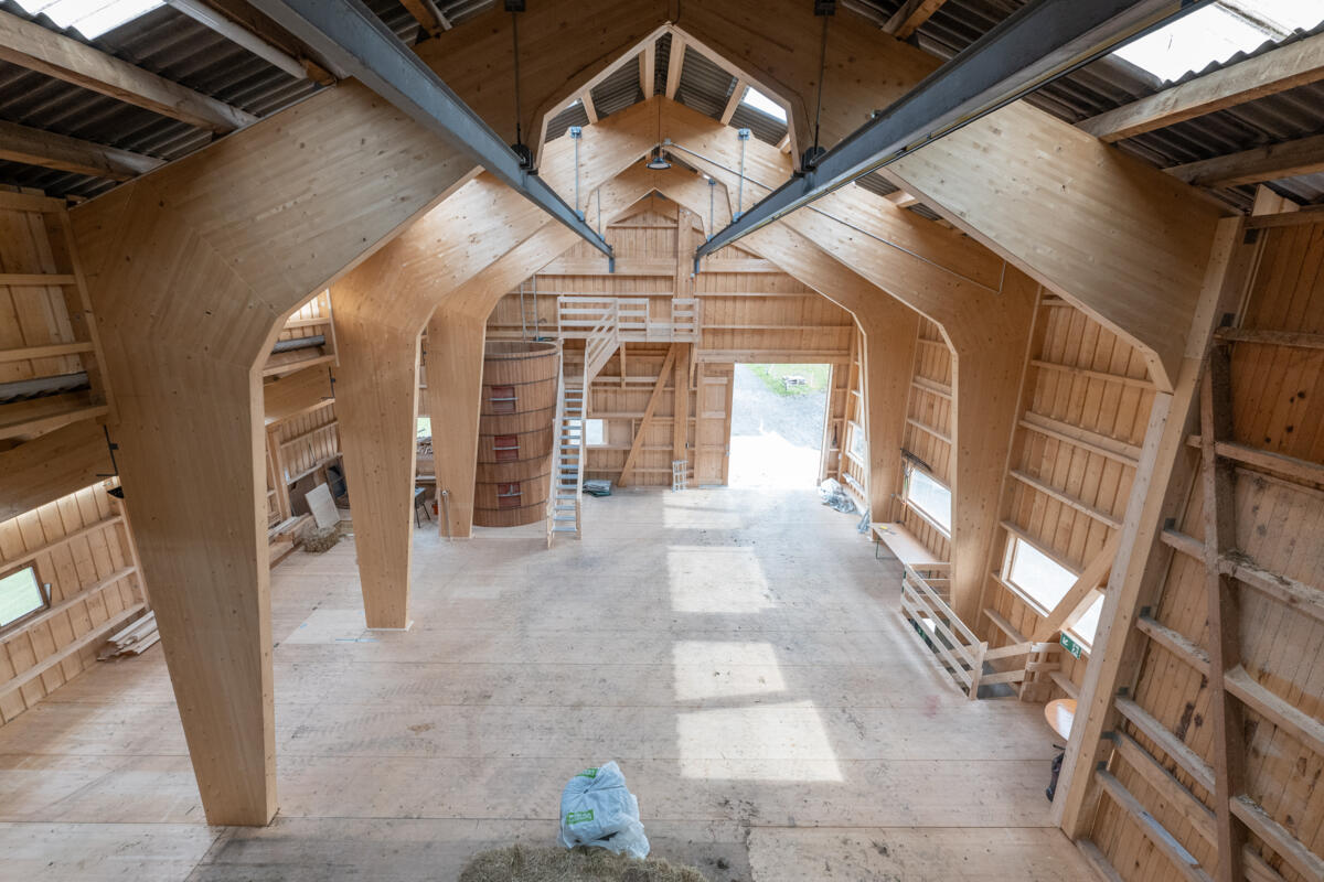 Bei einer Barauszahlung der Vorsorgegelder muss die Investition der dauerhaften Erhaltung oder Verbesserung des Betriebes dienen und somit indirekt die...