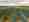 alt_text