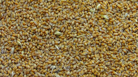 Ble_pixabay_music4life