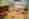 Blick_in_eine_Abferkelbucht__002_Suisag