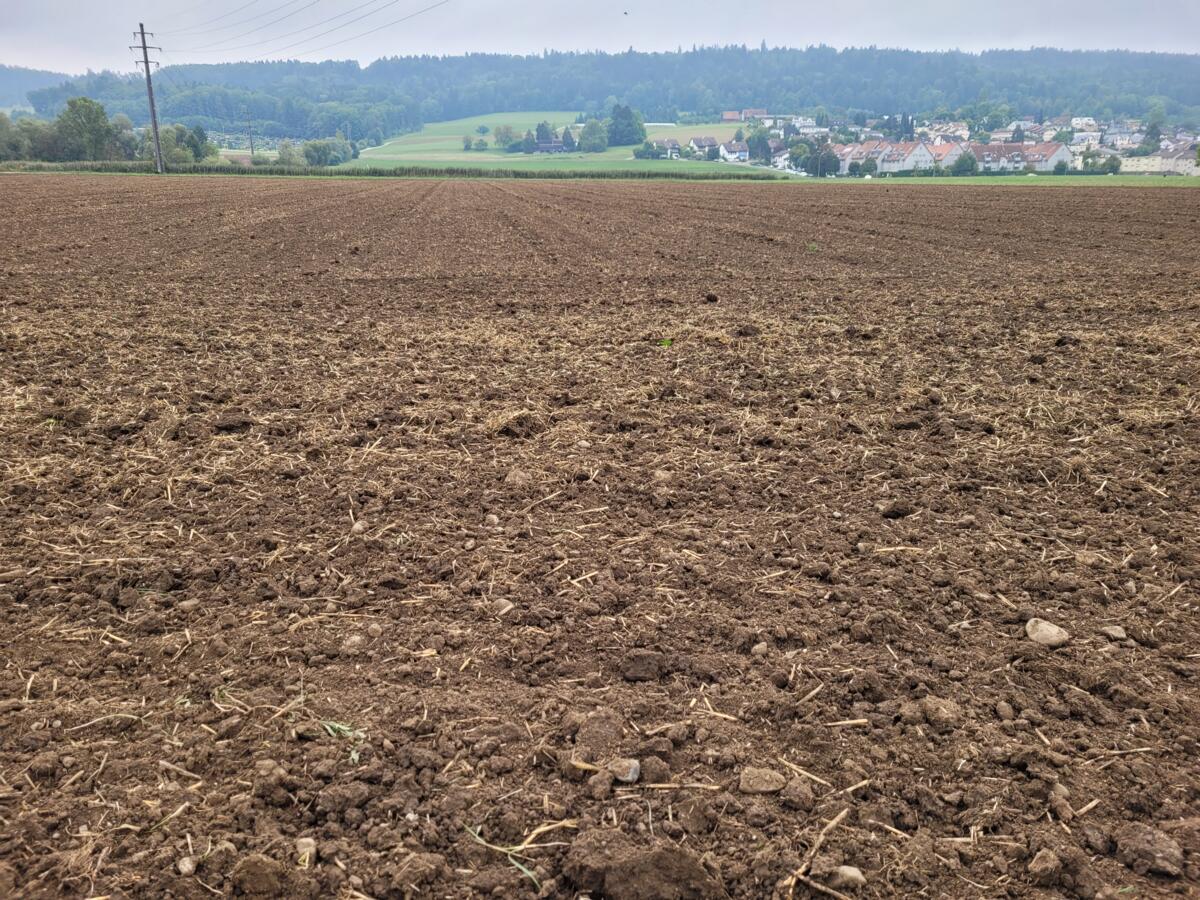 Organische Rückstände wie Stroh, Blätter und Stängel erhöhen den Humusgehalt.
