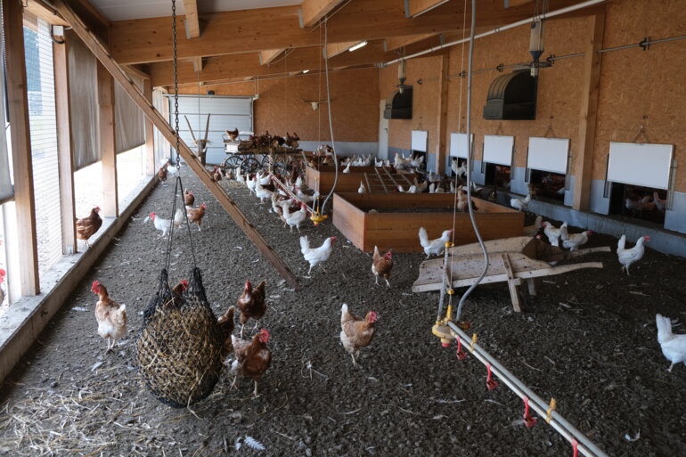 Brandverhütung Gefügelstall_UFA AG