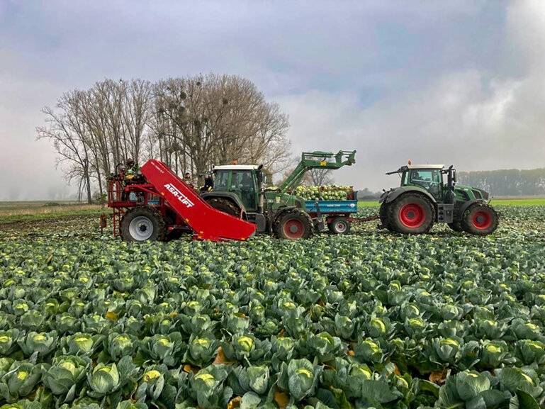 ©ASA-LIFT - MC-1020 DF Cabbage Harvester