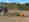 Cenius3003ultra_Deutz_d0_kw_DJI_20240903142652_0659_250212