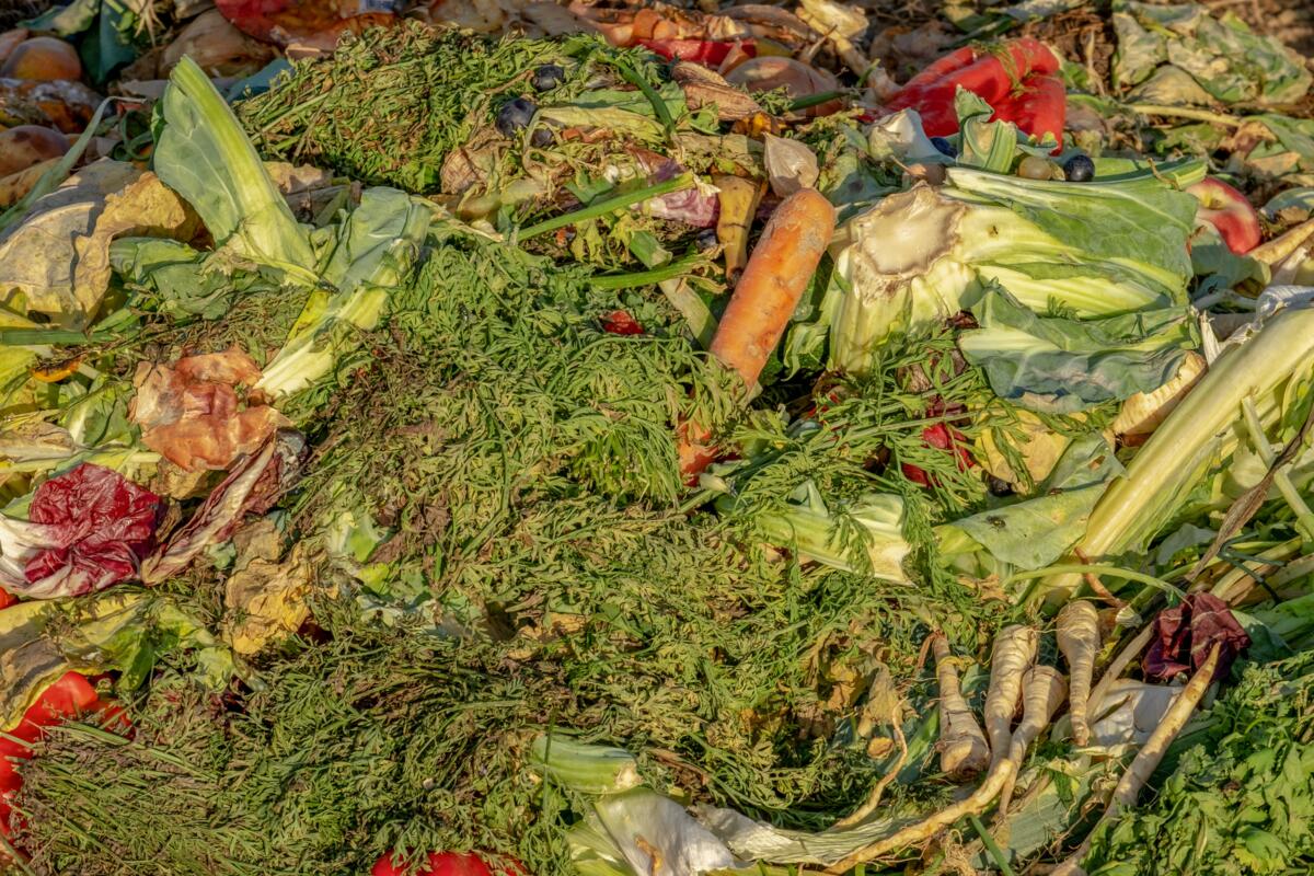 Bund und Lebensmittelbranche wollen gegen Food Waste vorgehen