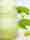 cream-4967127_1280