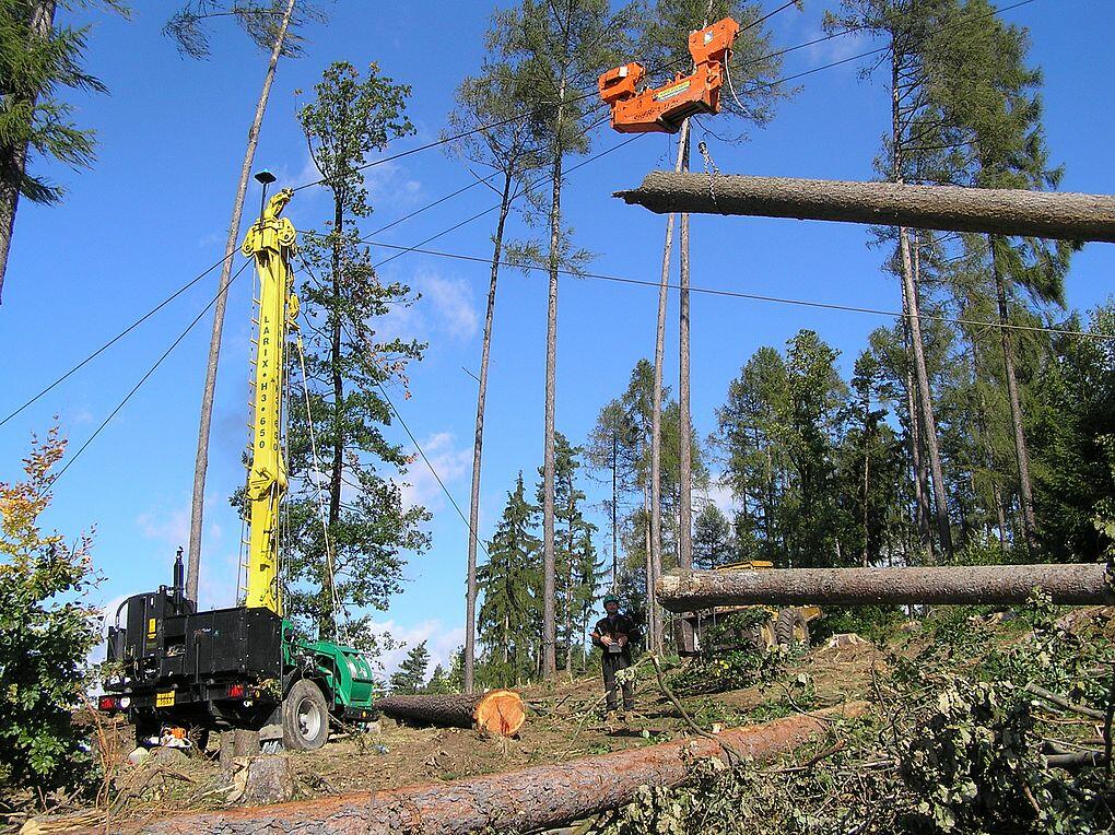 La recherche optimise l'utilisation des câbles-grues pour les travaux forestiers