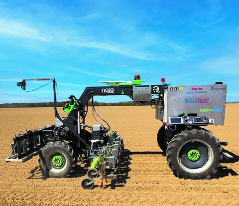 csm_BlueBob_Titelbild_bearbeitet__3f220ab94e