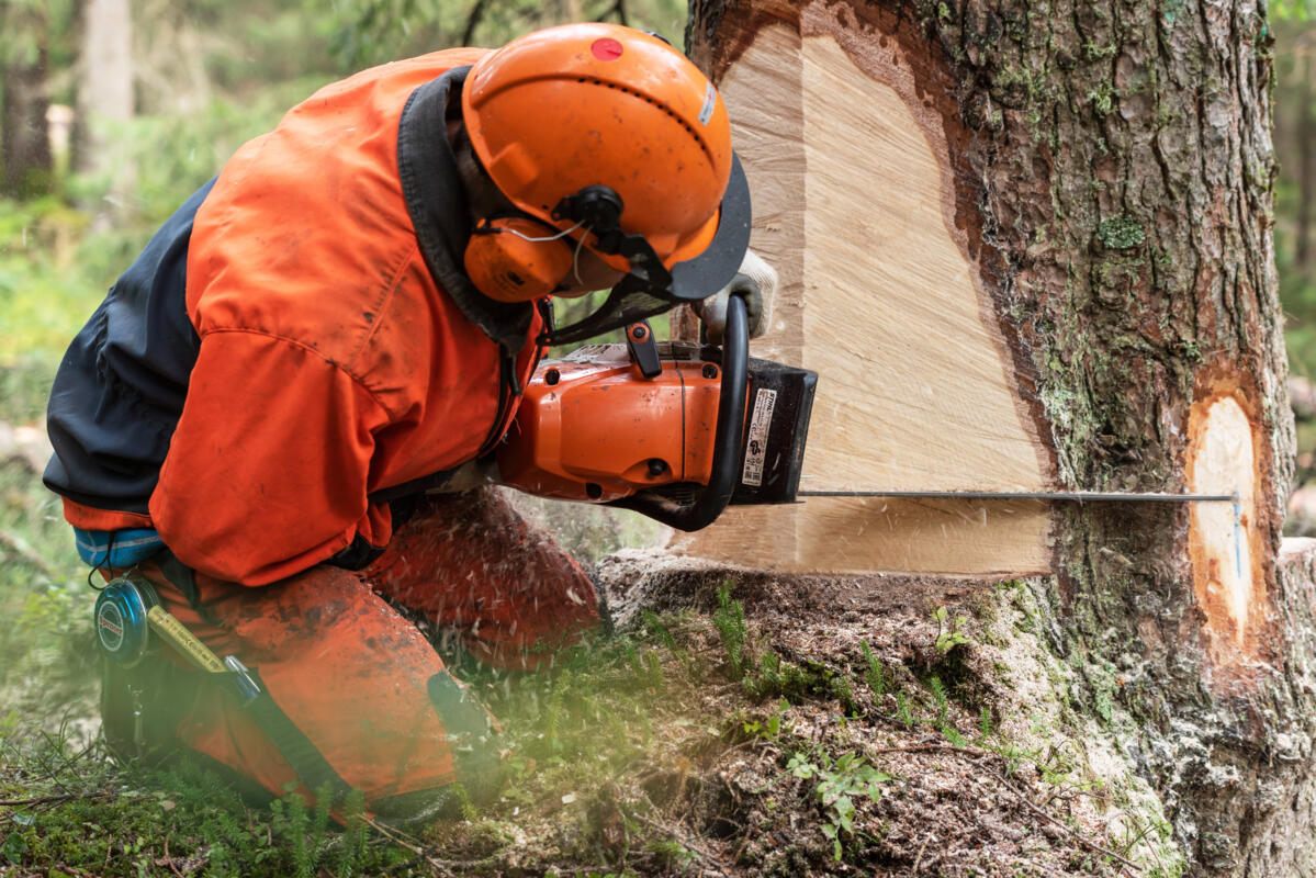 Schutzkleidung, die ihre Funktion aufgrund von Schäden oder Abnutzung nicht mehr erfüllen kann, muss ausgesondert werden. Die Regelung der Reinigung, Wa...