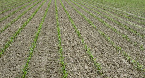 D_0523_UFA-Revue_200