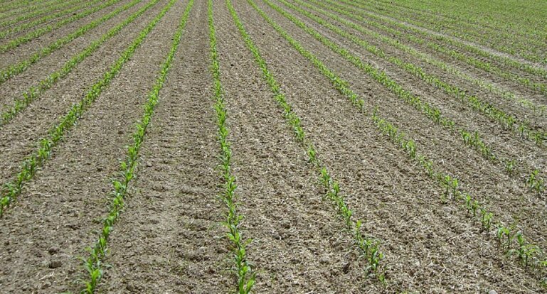 D_0523_UFA-Revue_200