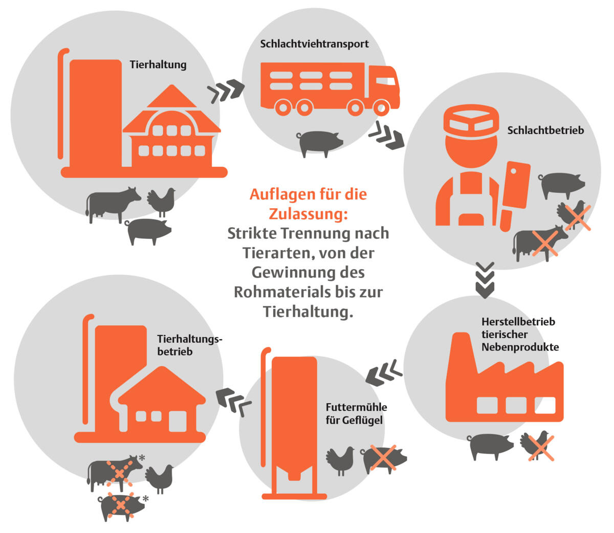 In der EU-Verordnung 999 / 2001 wird eine komplette Trennung der Tierproduktions- Prozesskette vom Schlachthof, Herstellbetrieb tierischer Nebenprodukte...