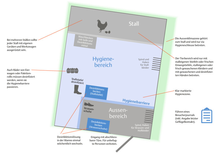 D_NT3_Hygiene Geflügel
