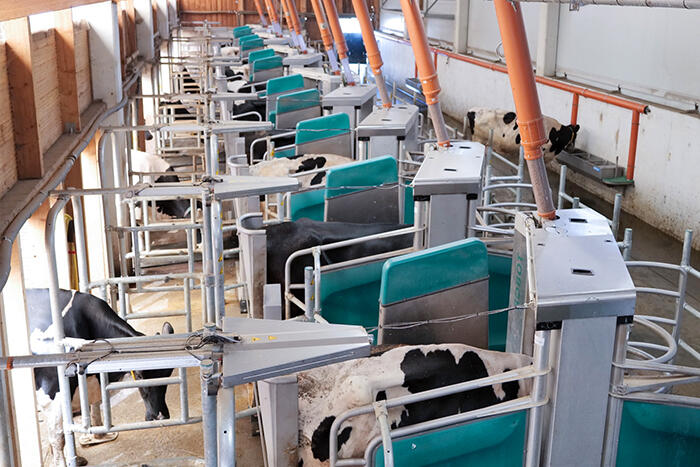 GEA DairyRobot R9650