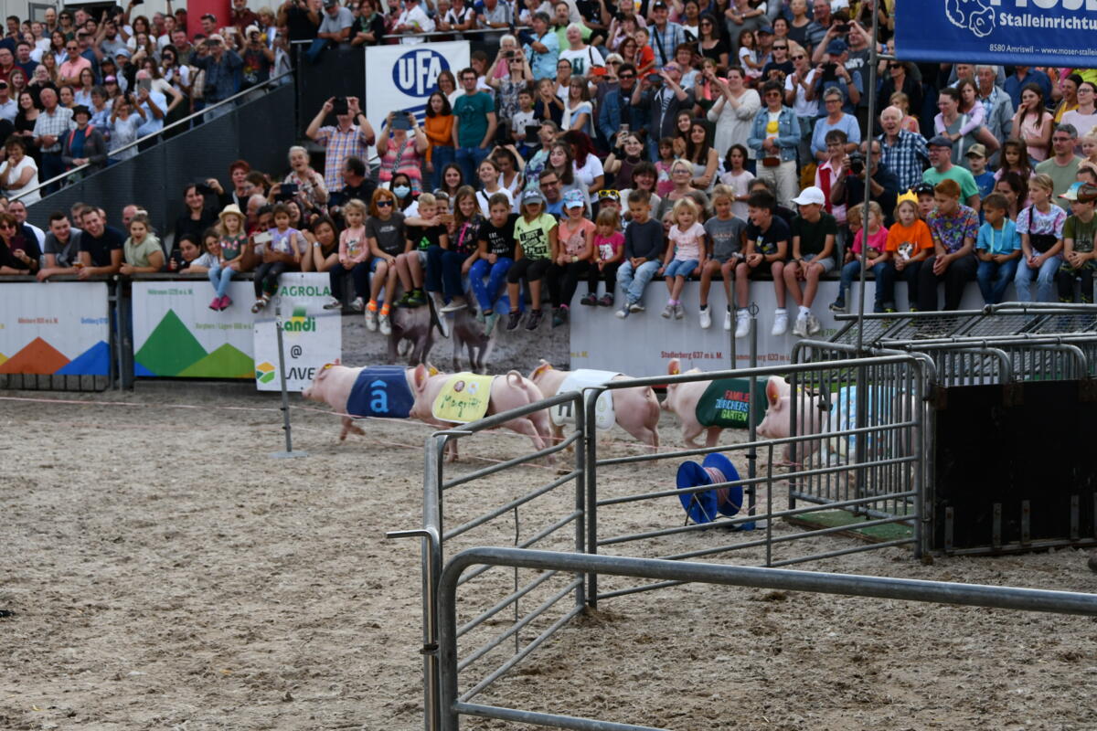 Der Startschuss ist gefallen.