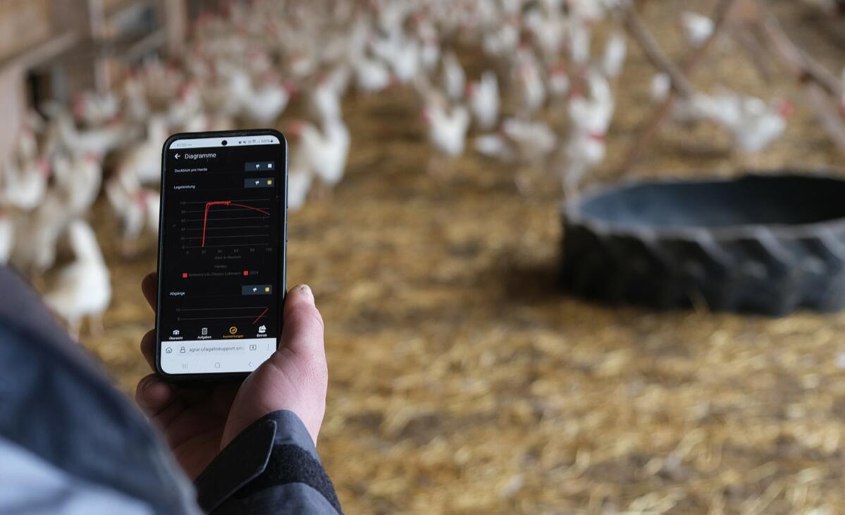 Du tableau Excel à l’application : les outils numériques pour l’agriculture  