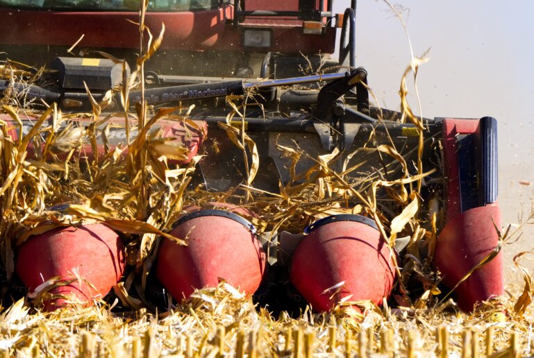 distelapparath-corn-3724666