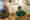 DJI_20241112_093945_mf_01_heller