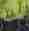 Dossier Boden_shutterstock_2500054935