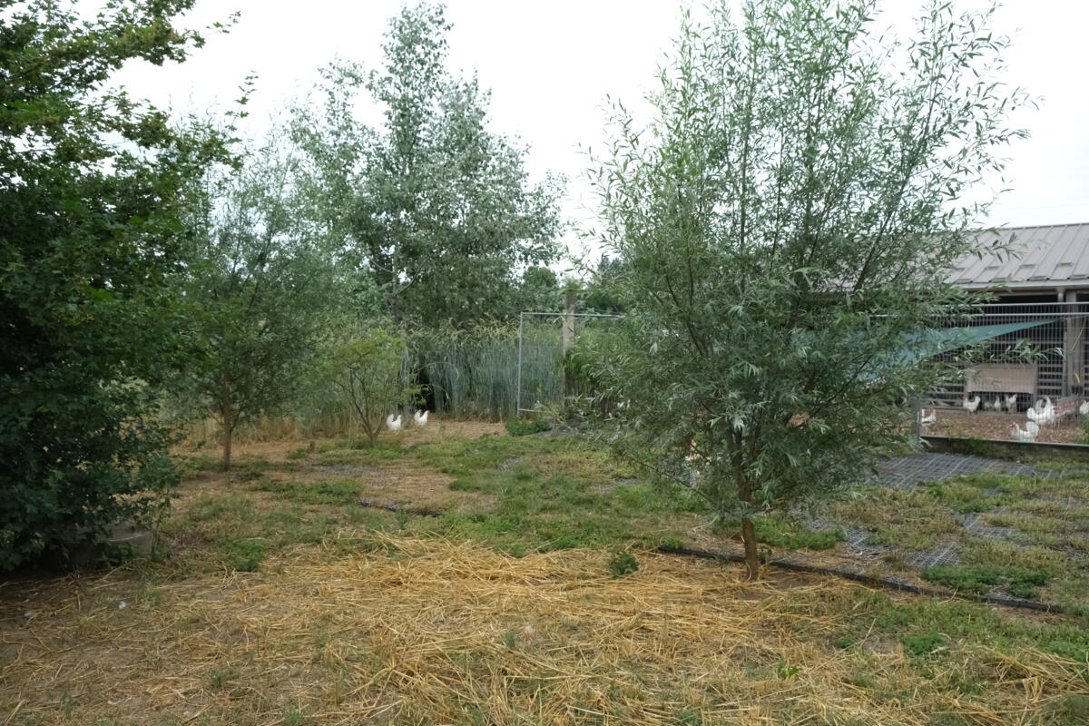 Natürliche Weidegestaltung