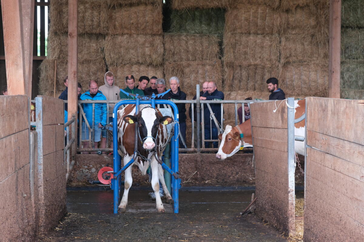 La phase de transition, une période clé