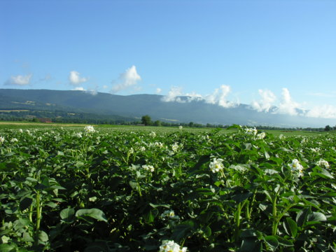 DSCN2662