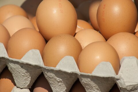 eggs-1266651
