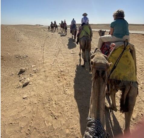 Landwirtschaftliche Entdeckungsreise durch Ägypten 