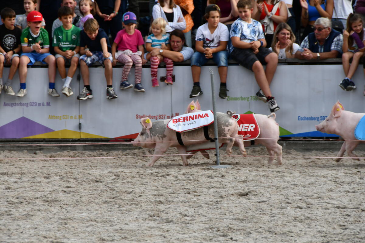 Ein spannendes Rennen