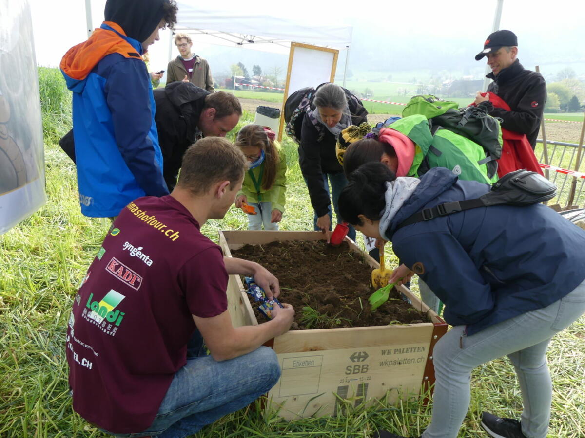 Was lebt und wächst im Boden?