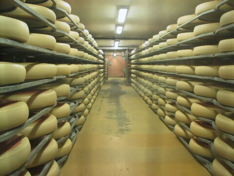 emmental-289142_1920