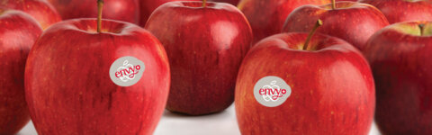 Envy Apfel_D_Geiser_agro com