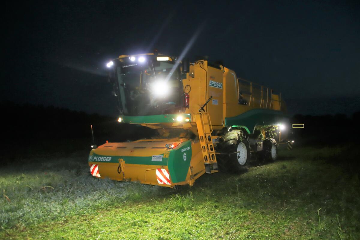 Wie eine gigantische Raupe frisst sich, im Dunkel der Nacht, die Erntemaschine durch das Rheinauer Erbsenfeld und schält die Erbsen aus ihren Hülsen.