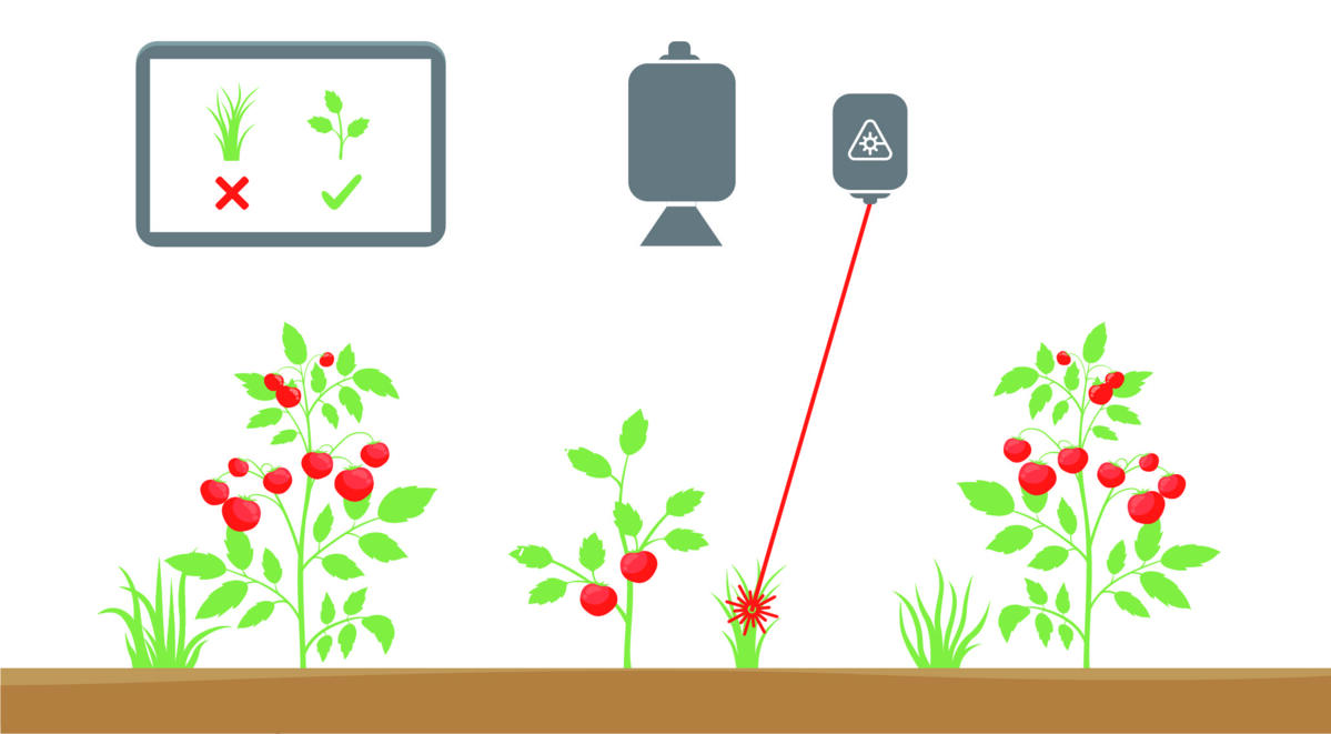 Hochpräzise Laser-Unkrautbekämpfung