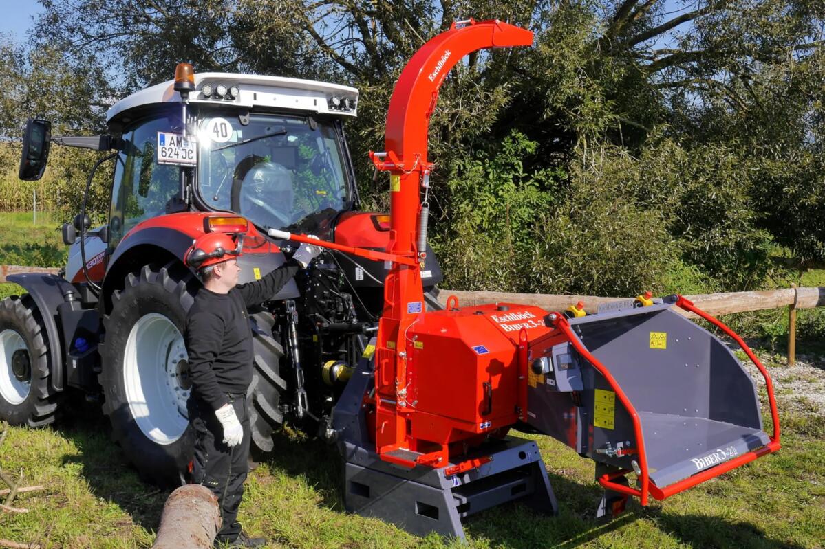 De la branche à la plaquette