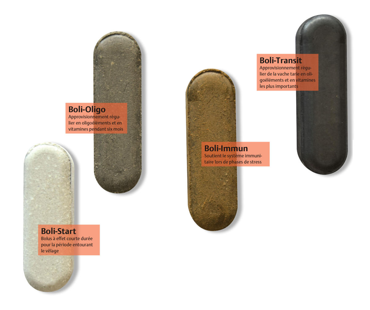 Les bolus sont pratiques et sûrs