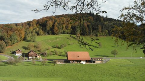 farm-201734_1280